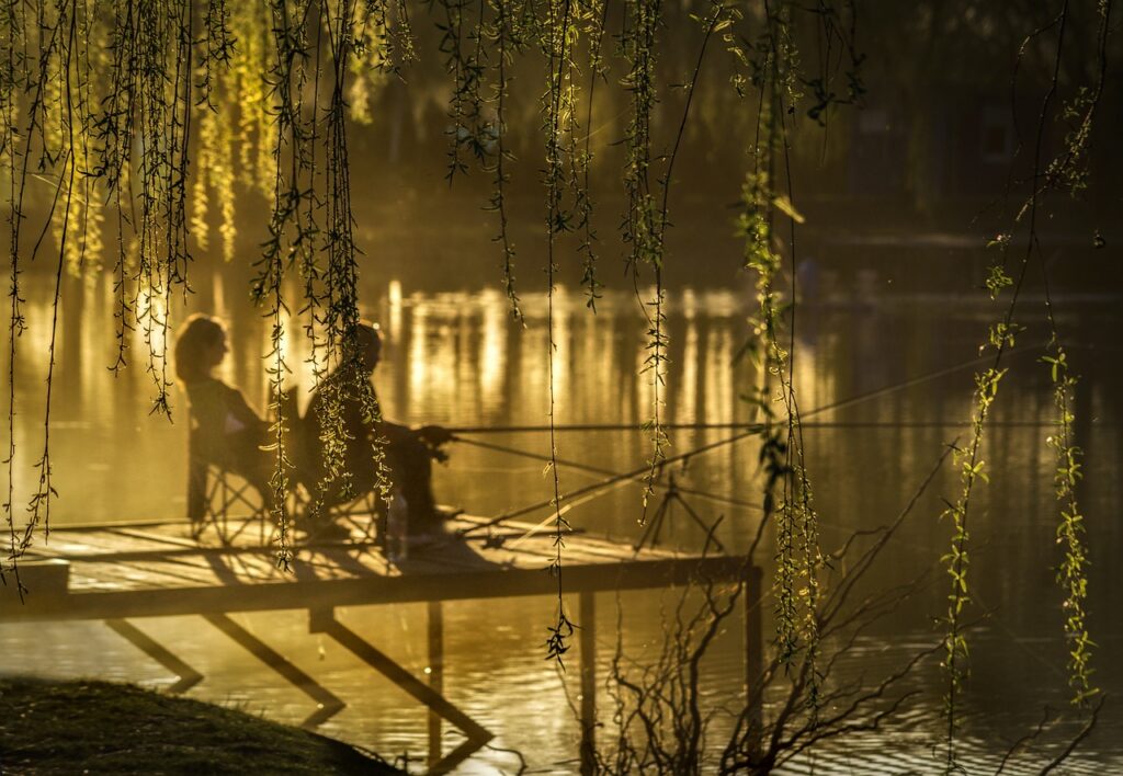 sunset, lake, anglers, nature, trees, light, colors, leisure, lake, lake, lake, lake, lake