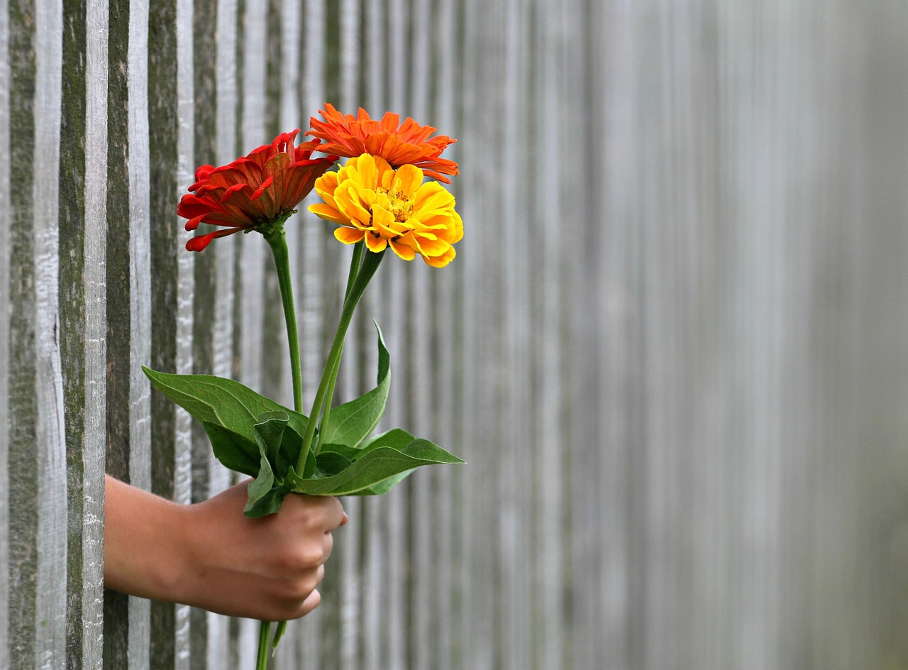 happy valentines day, flower background, hand, gift, nature, bouquet, love, congratulate, flower wallpaper, give, flowers, bunch of flowers, offering, fence, beautiful flowers, concept