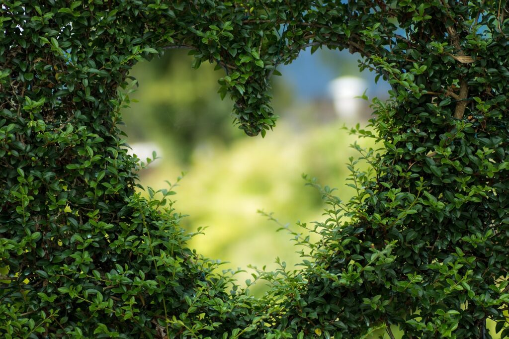 valentines day background, windows wallpaper, heart, desktop backgrounds, mac wallpaper, 4k wallpaper 1920x1080, nature, leaves, wallpaper hd, foliage, beautiful wallpaper, garden, free background, bush, heart shape, wallpaper 4k, love, free wallpaper, romance, 4k wallpaper, hd wallpaper, laptop wallpaper, plants, cool backgrounds, background, zoom background, full hd wallpaper, green background, green heart, green plants