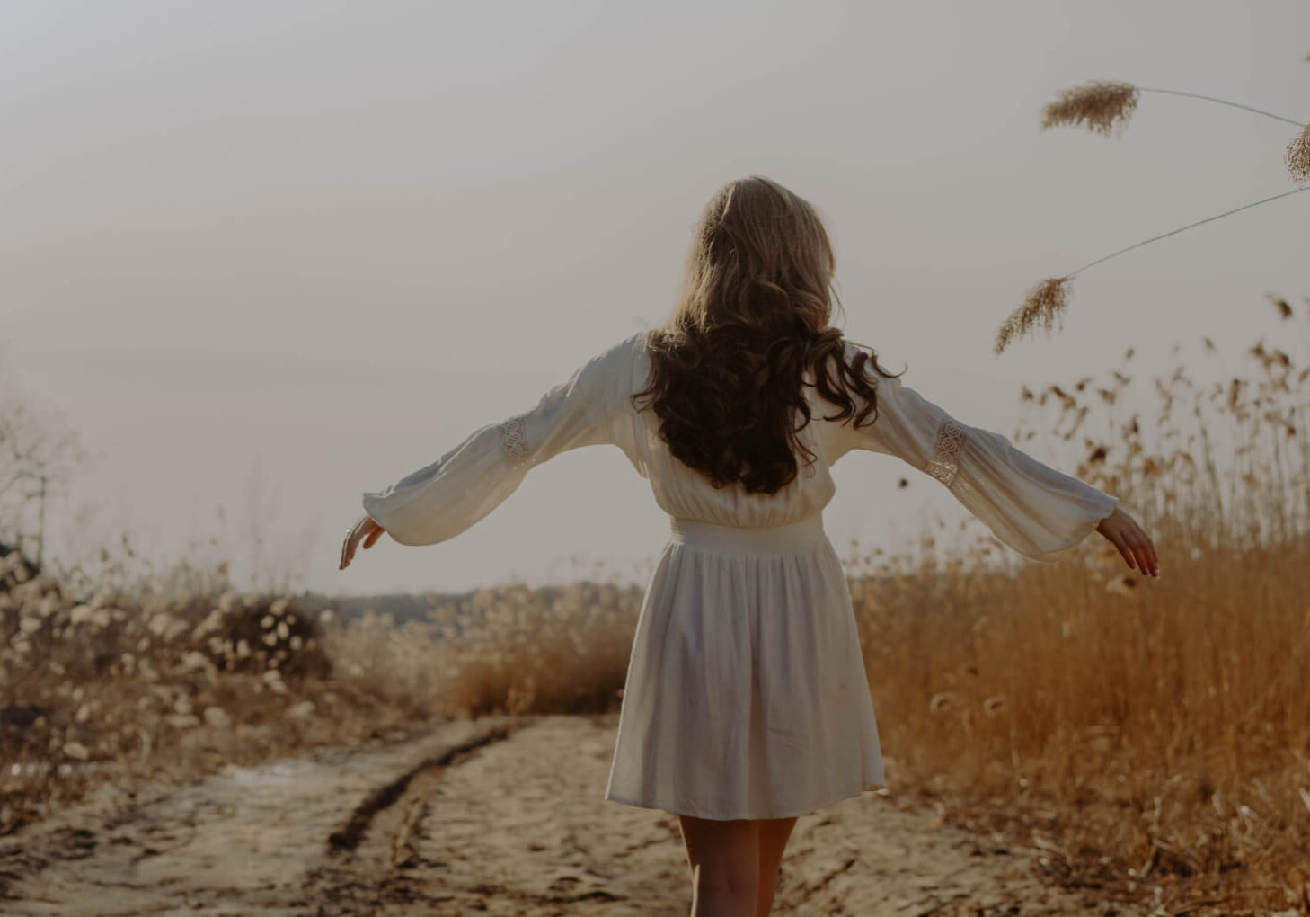 women-walking-on-tall-grass-cropped Woman walking on tall grass
